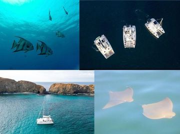 Catamarán compartido o privado 