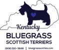 Bluegrass Scottish Terriers