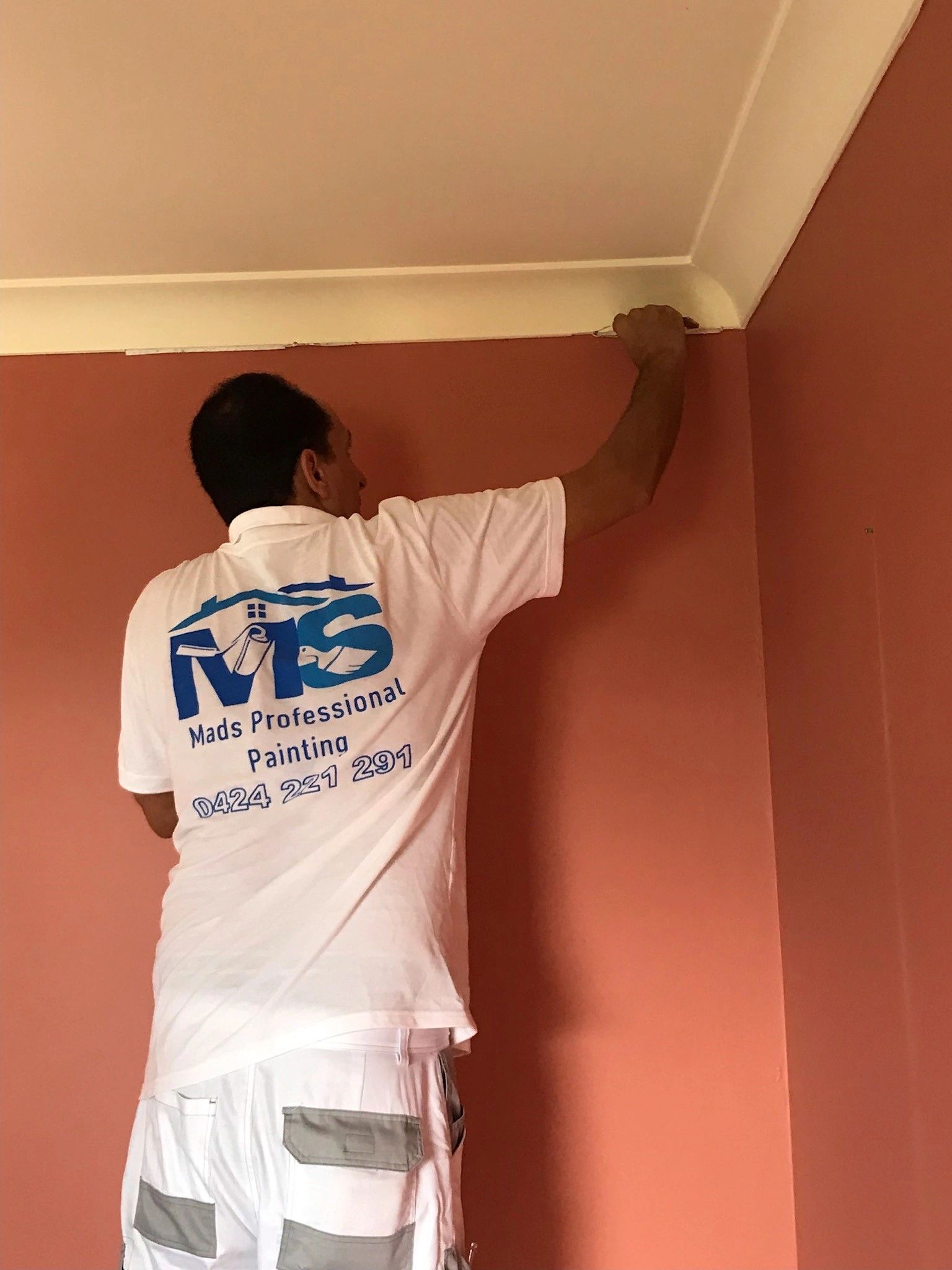 Mads Professional Painting