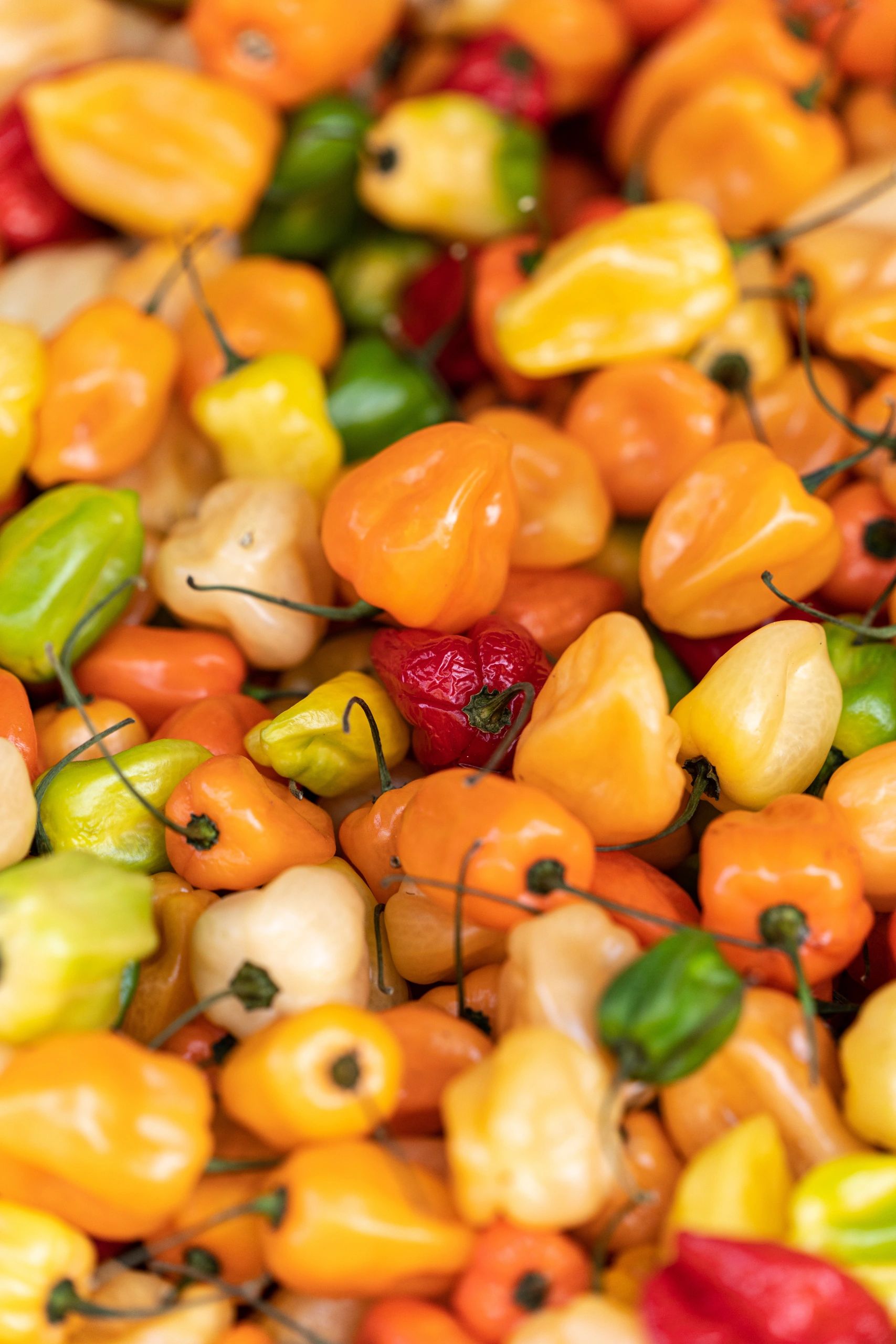 world-s-best-hot-sauce-texas-original-hot-sauce