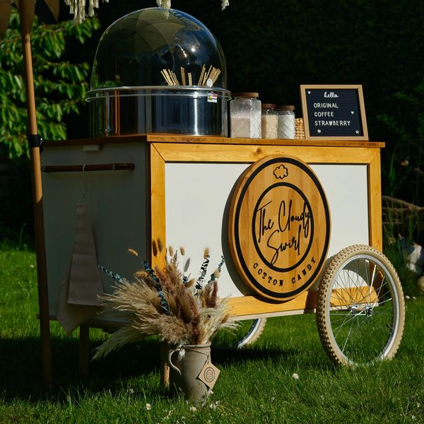 Picture of a cotton candy cart with a green background 
