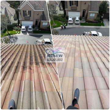 Roof washing for insurance claims 
