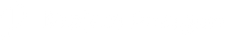 Project Paragon