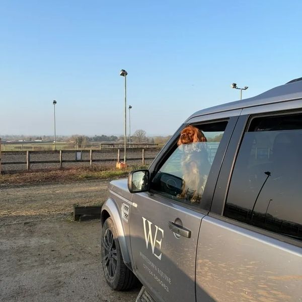Dog looking out from the window of a parked silver car on a dirt road.