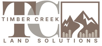 Expert Services, Tailored Solutions