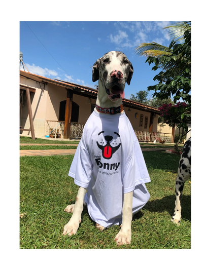 Cão com a camiseta do Projeto Bonny, que resgata animais das ruas e dá melhores condições para eles.