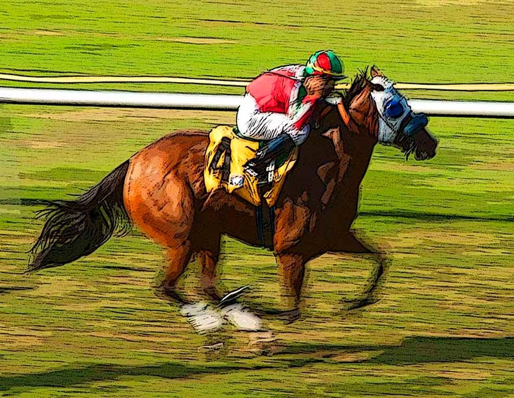 THE WINNER. i PLACED A BET ON THIS HORSE AND THEN PHOTOGRAPHED HIS AS HE CROSSED THE FINISH LINE IN 