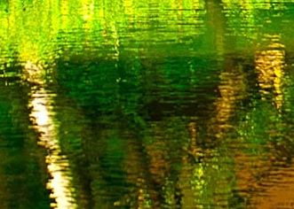 A POND