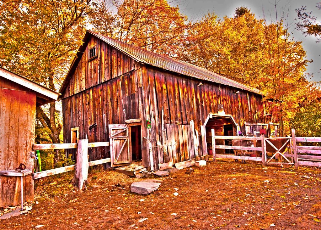 RED BARN IN VERMONT
PRICE CATEGORY THREE APPLIES