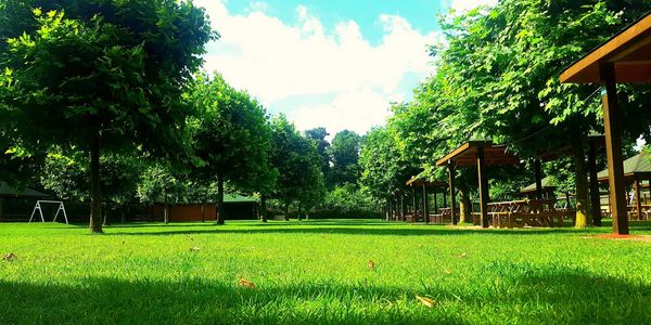 İstanbul Şirket piknik alanları, Şirket piknik Organizasyonları, Şirket piknikleri, Şirket piknik 