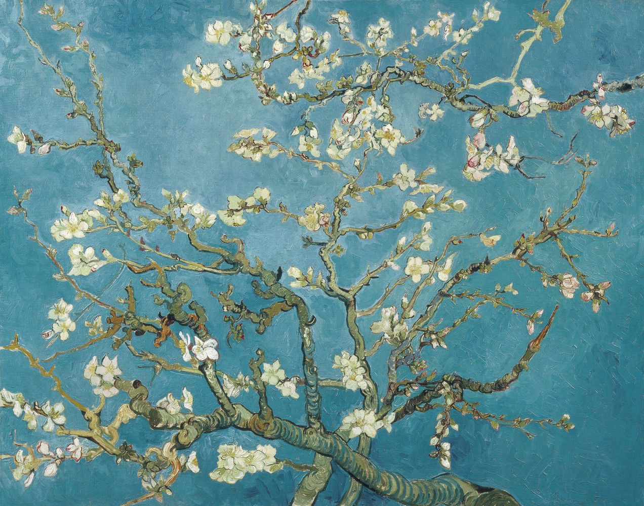 Van Gogh's painting of blossoming almond tree branches against a bright blue sky.