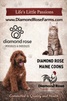 Diamond Rose Farms
