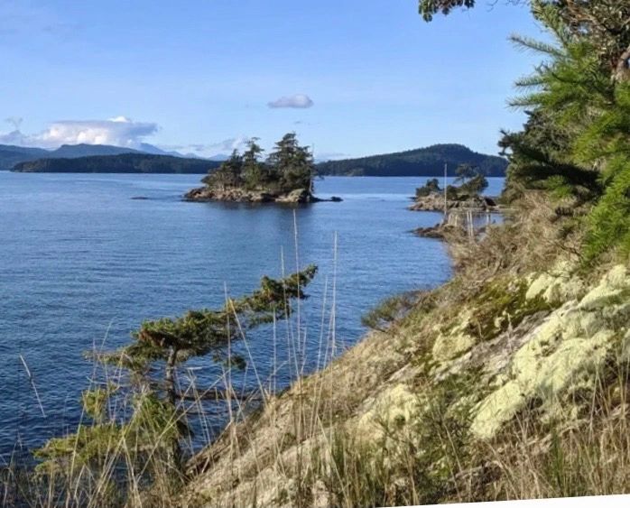 Otter Shores Pender Island, Vacation Rentals