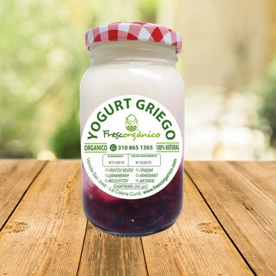 Yogurt griego orgánico de 250 gramos con trozos de pura fruta cremoso sin preservantes 