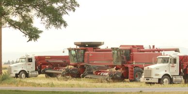 combines and grain trucks