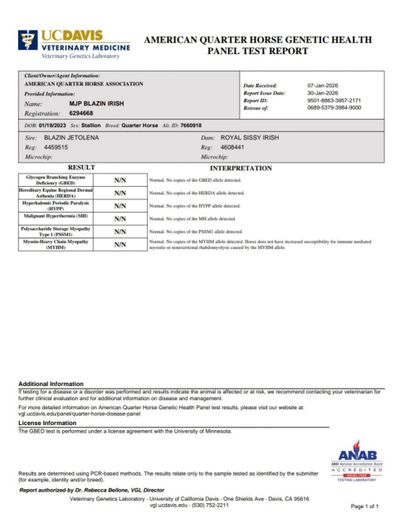 UC Davis genetic health test report for a Quarter Horse showing normal results.
