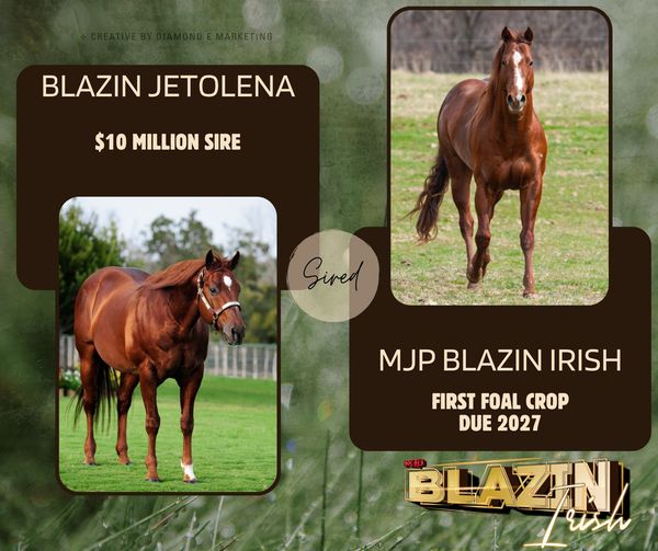 Two chestnut horses featured as sire and offspring with breeding details.