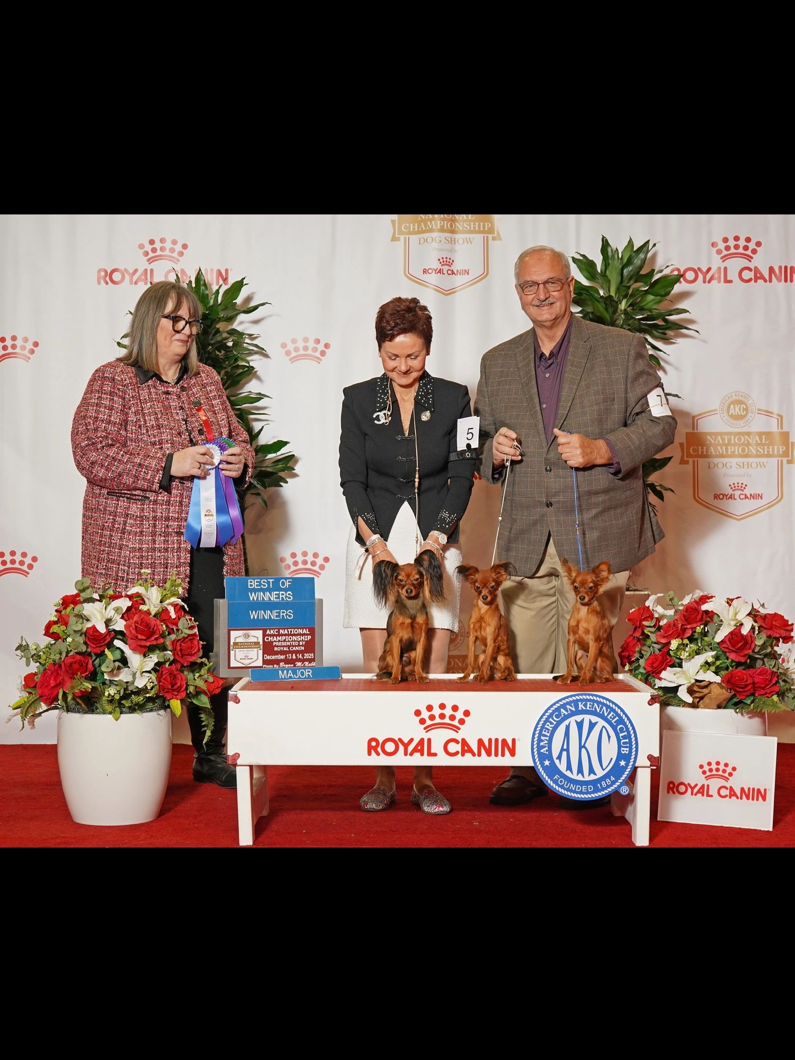 Dog show winners with their dogs and awards at AKC National Championship.