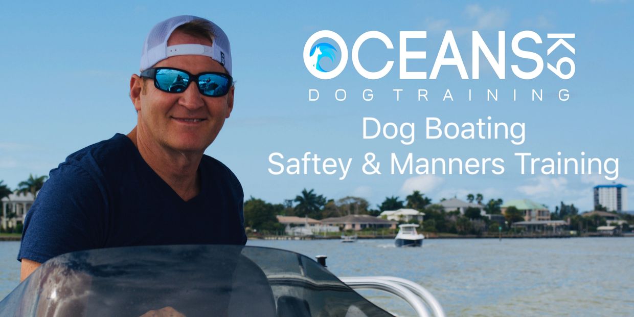 Dog Boating and Safety Training.