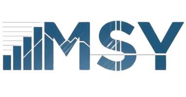 MSY Management Services
