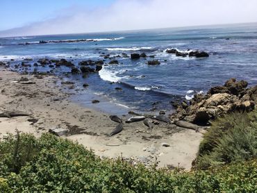 Cambria California