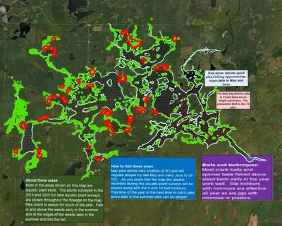 Pike Fishing Locations
