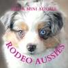 Rodeo Aussies 