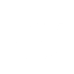 Ace Painting Inc.