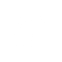 Ace Painting Inc.