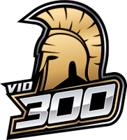 Vid300