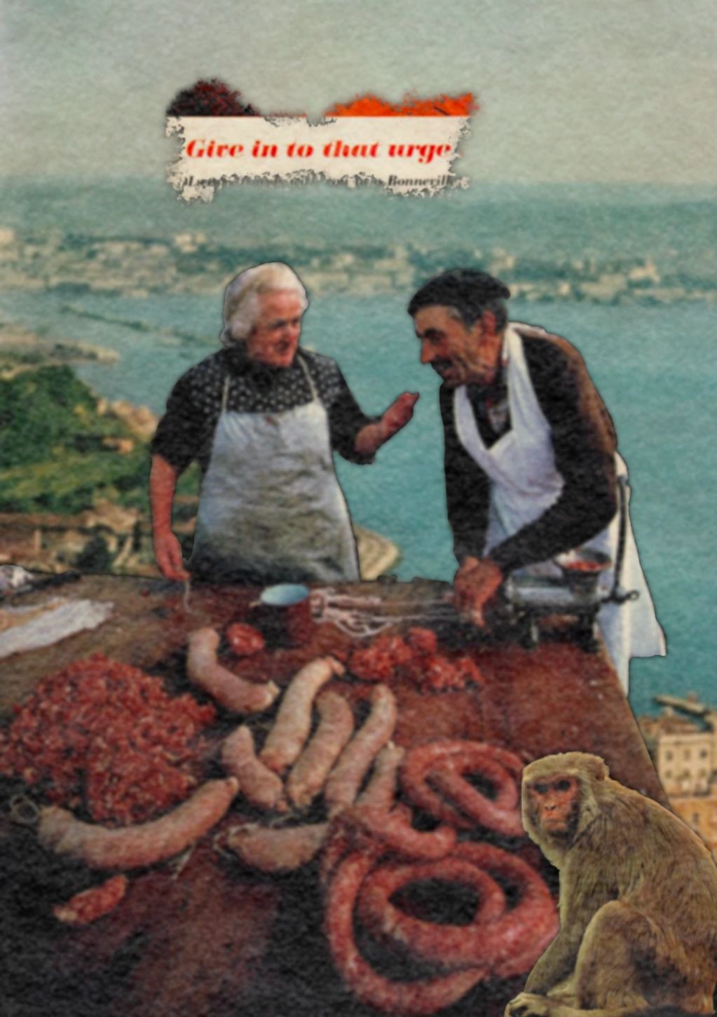 Nat geo collage artwork salami digital collage surreal art Melbourne artist  Doctor Rockets
