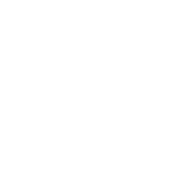 Sheneirka michelle