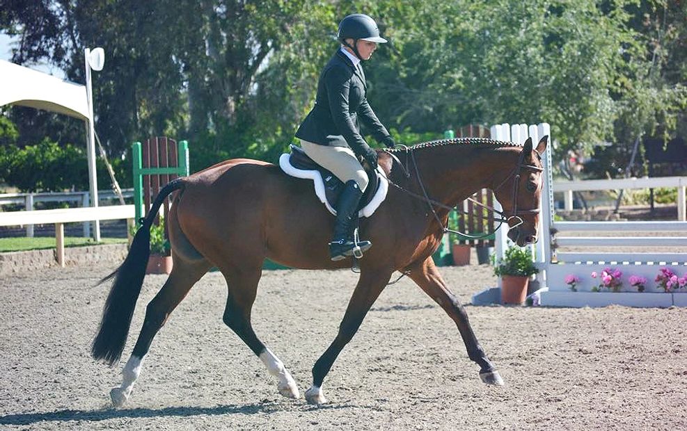 Johanna Hume and Good Luck Z showing in the USHJA 3' Hunters