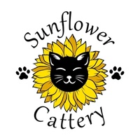 Sunflower
 Cattery