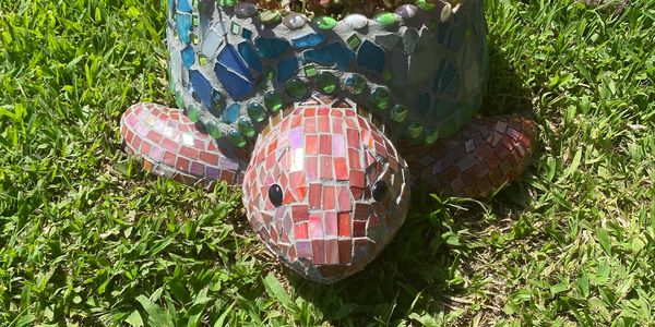 Hono the turtle 