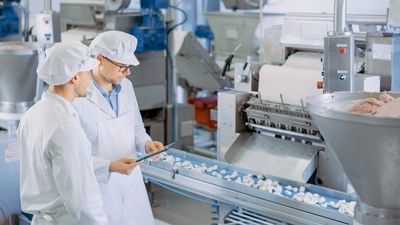 Food production staff inspecting a dumpling manufacturing line