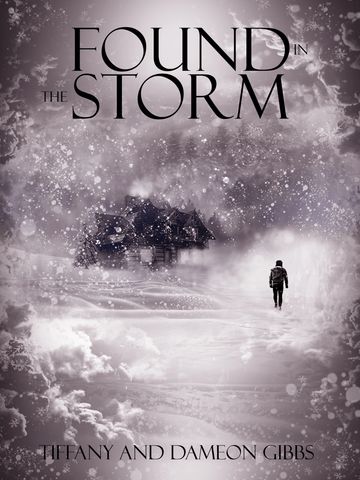 Cover: Found in the Storm