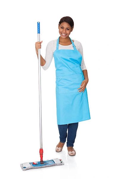 Blue Mop Cleaning Services