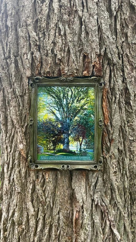 Memorial to the Brighton Tree