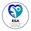 Excellent Source Academy