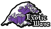 Exotic Wave