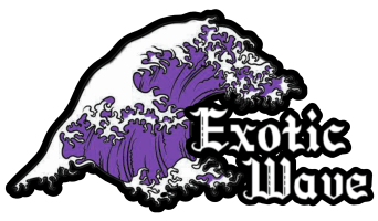 Exotic Wave