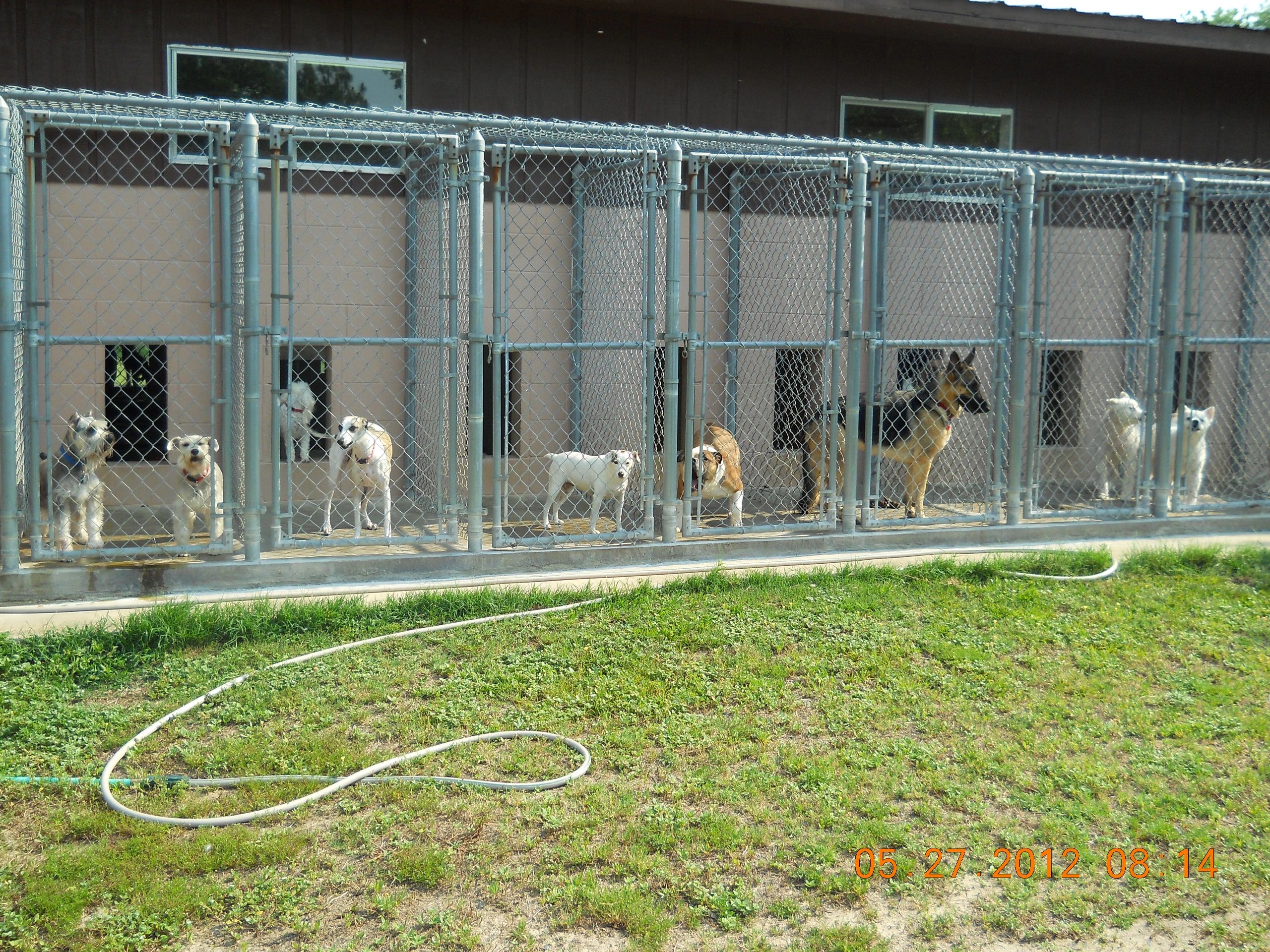 how many dog kennel does a groomer need