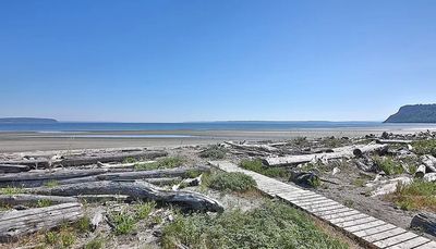A serene beach with a wooden pathway and driftwood.