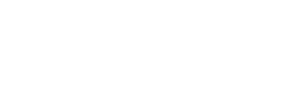 Digital Internal Investigations