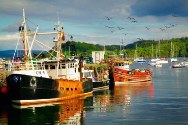 Fishing boats docked in Oban Scotland