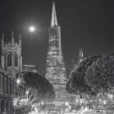 Black and white image of the Transameria Pyramid in San Francisco, CA