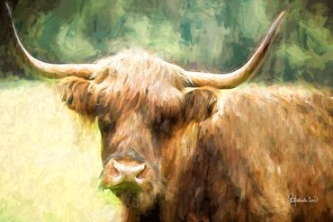 A painterly rendition of a ginger-colored highland coo.