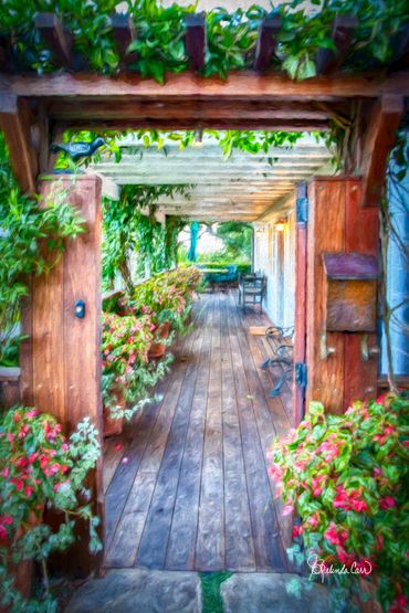 A percola over a wooden walkway in front of a San Isidro Ranch Cottage covered in lush vegetation an