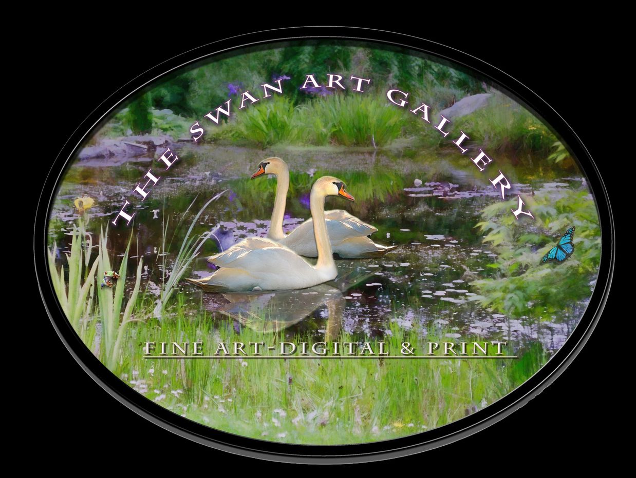 Logo featuring two swans in a pond with text for The Swan Art Gallery.